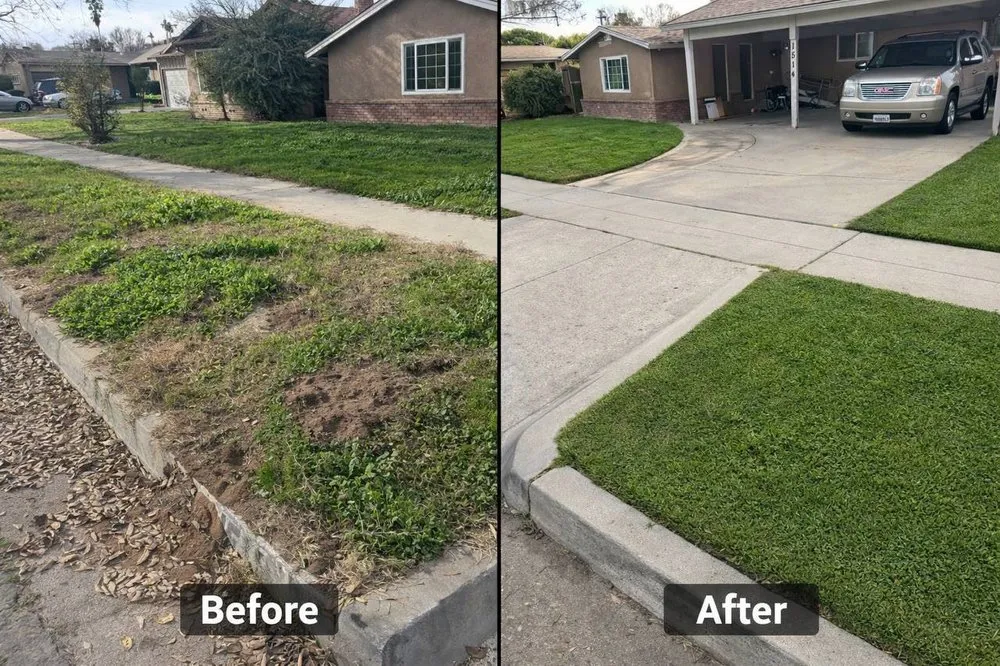 Local lawn mowing service with custom design in Fresno, CA by Lawn Labor Services