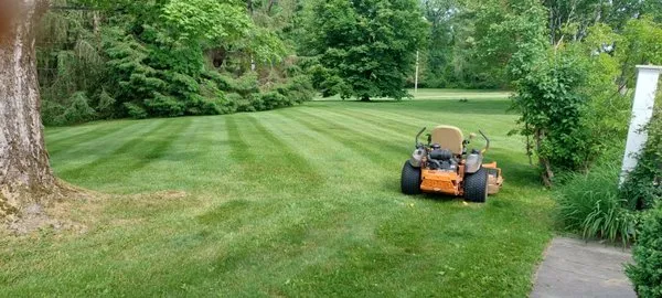 Lawn Landscaping Services