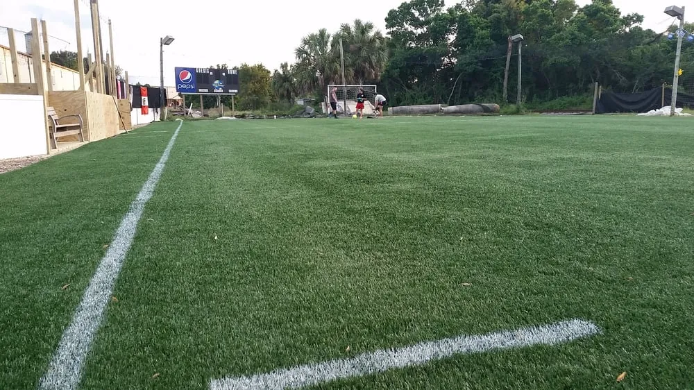 Professional yard cleanup service in Seffner, FL - Lawn Lasting