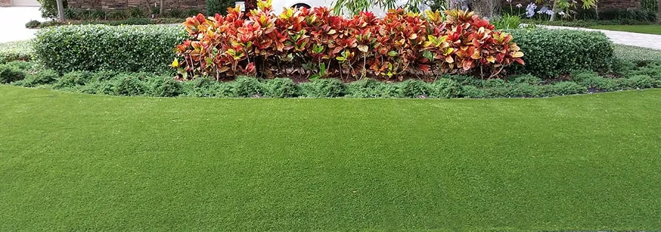 Top-rated residential landscaping in Seffner, FL - Lawn Lasting