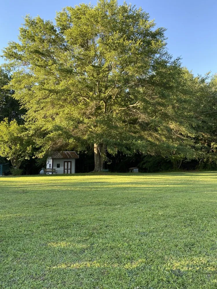 Reliable lawn care service experts serving Carrollton, GA - Lawn Leaf South