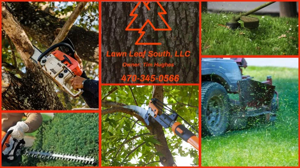 Top-rated yard maintenance near you across Carrollton, GA - Lawn Leaf South