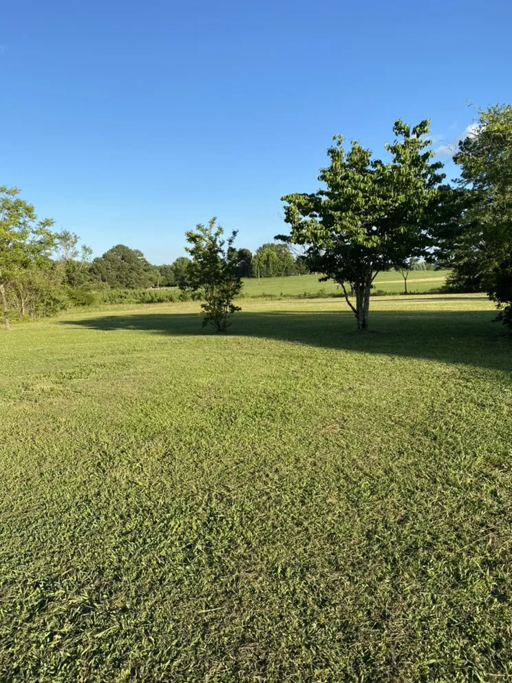 Expert residential landscaping in Carrollton, GA - Lawn Leaf South