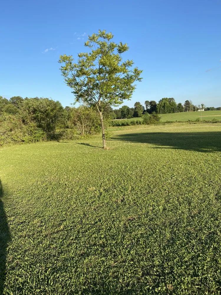 Top-rated landscape design for outdoor upgrades in Carrollton, GA by Lawn Leaf South