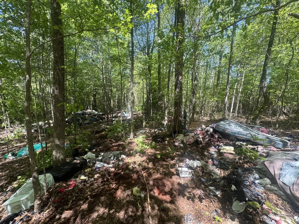 Reliable garden landscaping for year-round maintenance in Douglasville, GA by Lawn Legacy