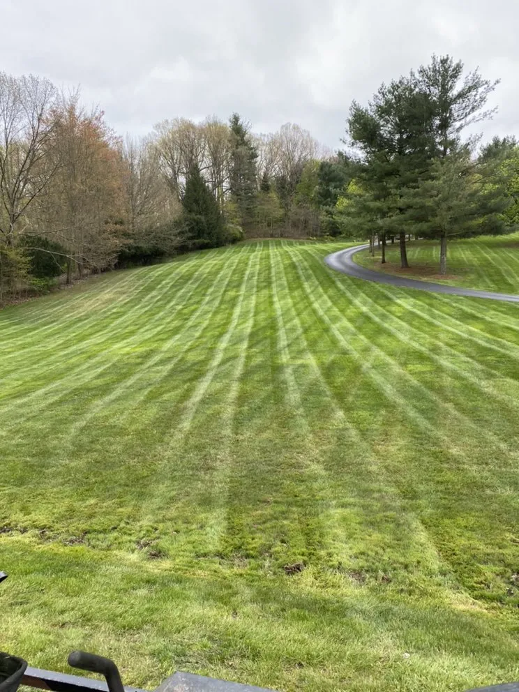 Expert lawn mowing service in Canton, OH by Lawn Legend