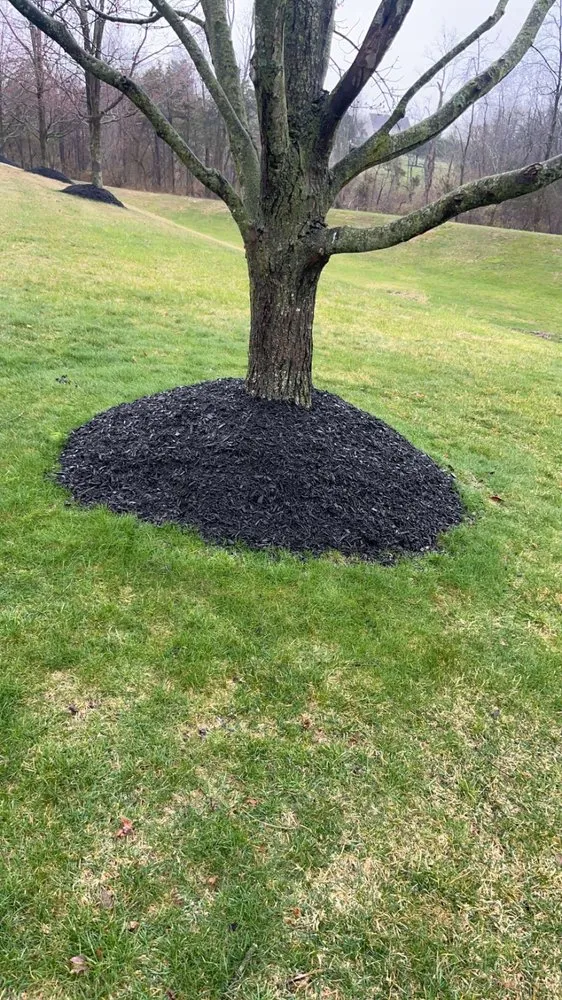 Local yard cleanup service experts serving Boyertown, PA - Lawn Legends