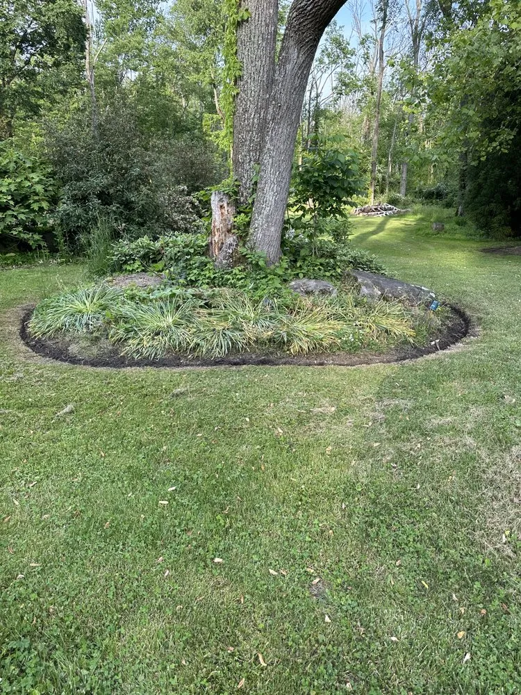 Expert yard maintenance for year-round maintenance across Boyertown, PA - Lawn Legends