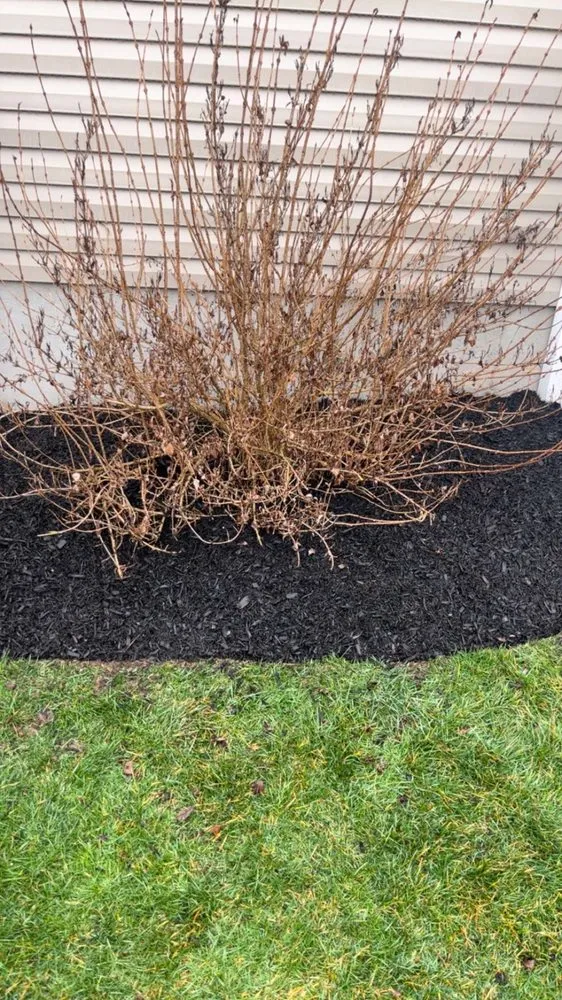 Professional yard cleanup service in Boyertown, PA by Lawn Legends