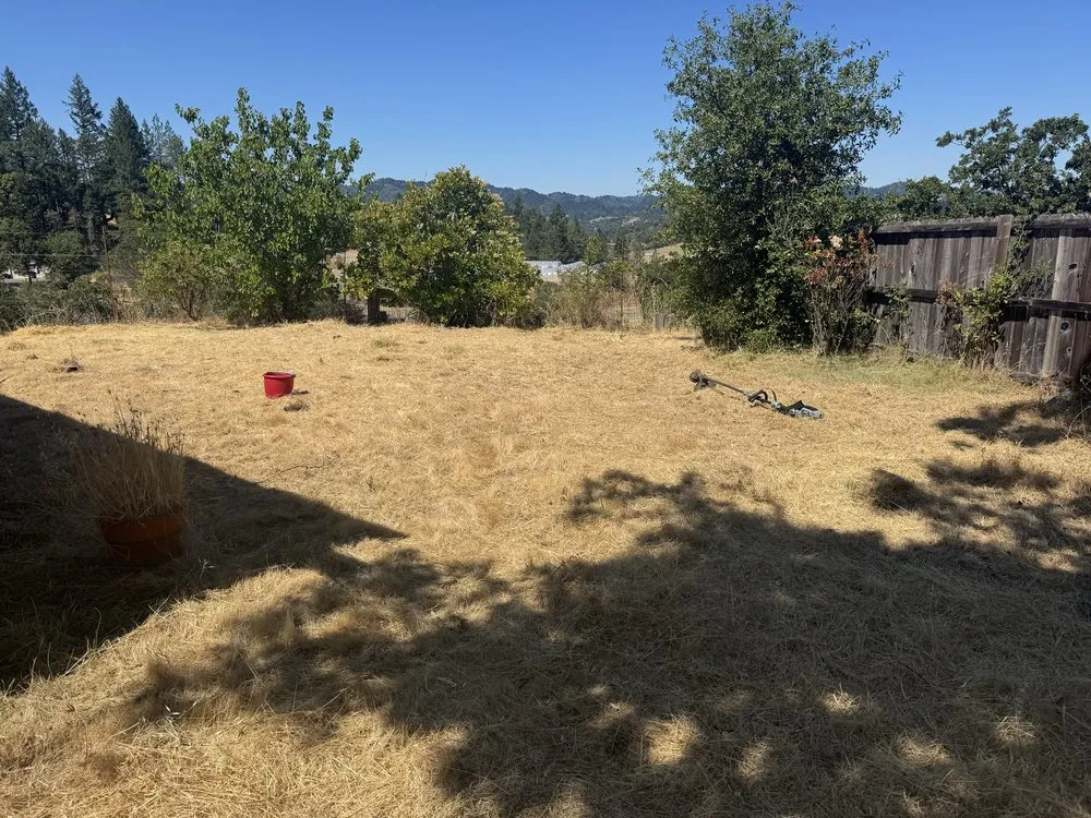 Trusted landscaping services for residential properties in Fort Bragg, CA by Lawn Legends