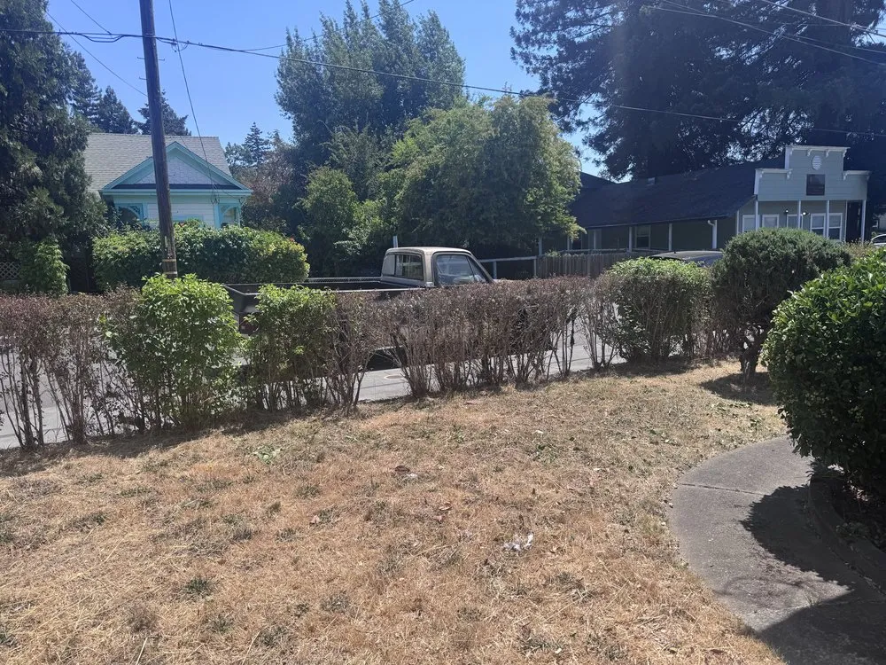 Professional landscape installation in Fort Bragg, CA by Lawn Legends