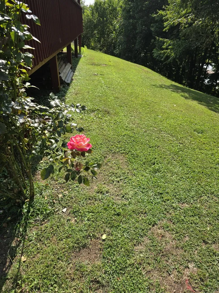 Trusted garden landscaping in Kingsport, TN - Lawn Legends