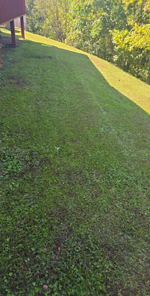 Affordable lawn mowing service in Kingsport, TN - Lawn Legends