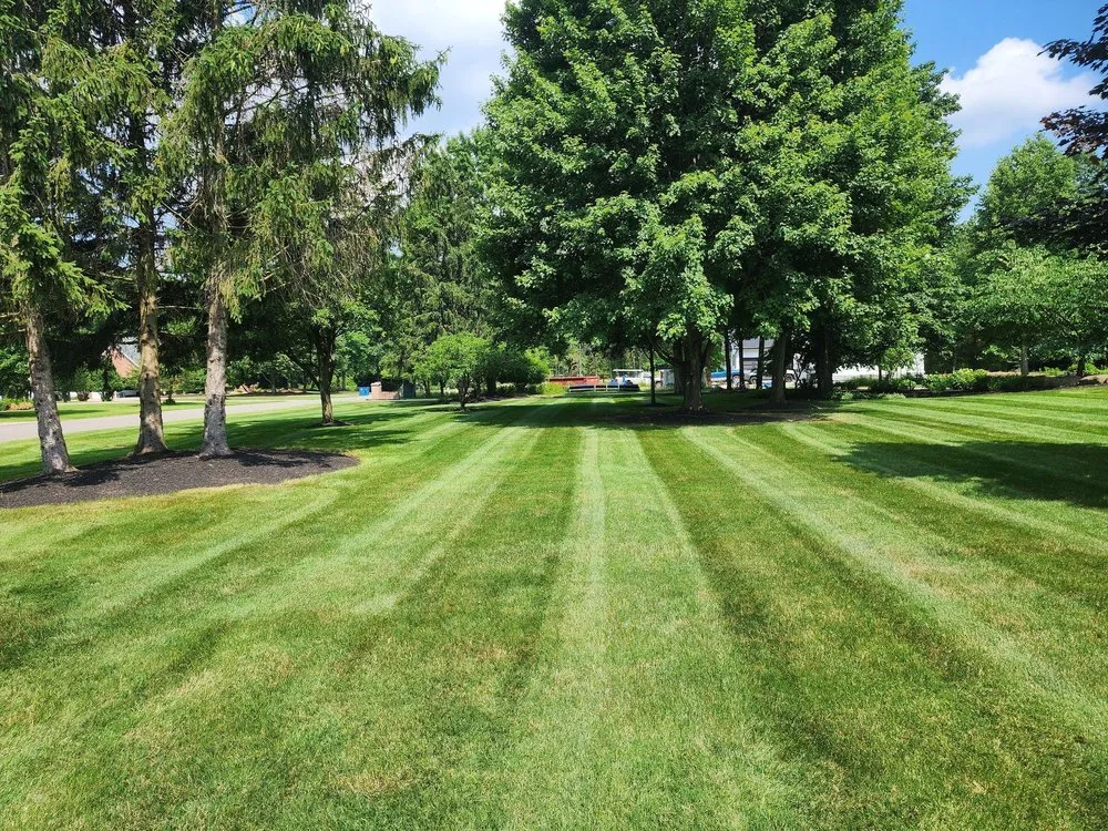Expert yard cleanup service near you across Burghill, OH - Lawn Legends Lawn Care
