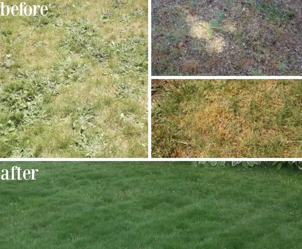 Top-rated yard maintenance with custom design in Siloam Springs, AR by Lawn Legends of NWA