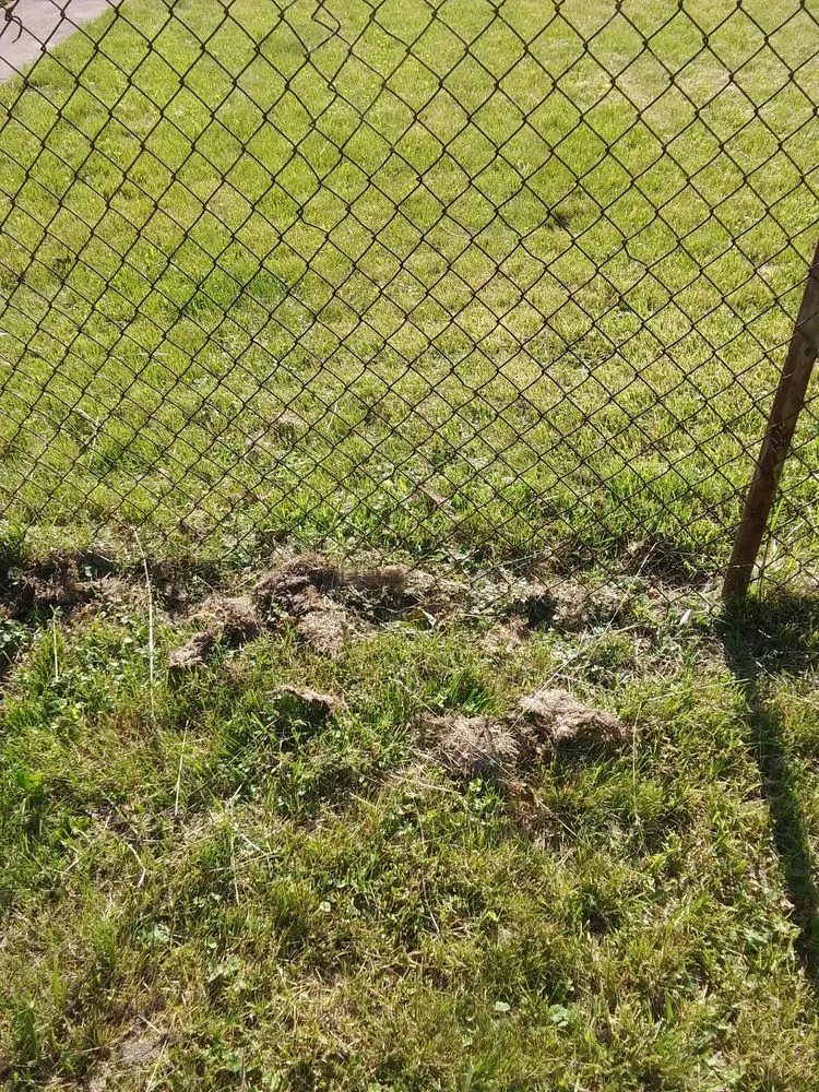 Trusted landscape design in Garden City, MI by Lawn Life Landscape