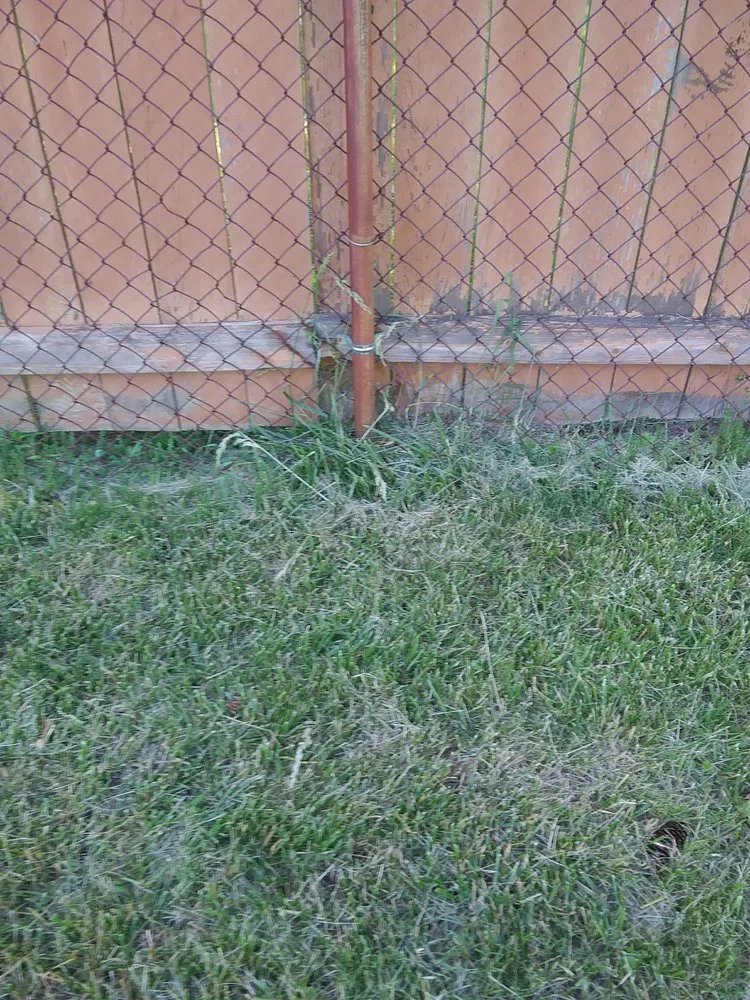 Expert residential landscaping with custom design in Garden City, MI by Lawn Life Landscape