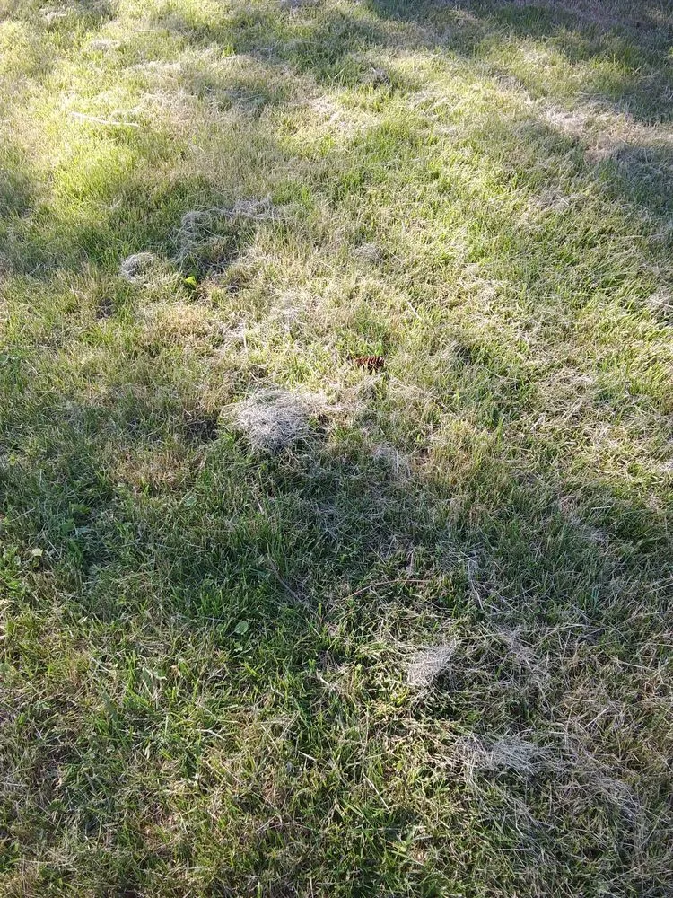 Reliable outdoor landscaping for outdoor upgrades across Garden City, MI - Lawn Life Landscape