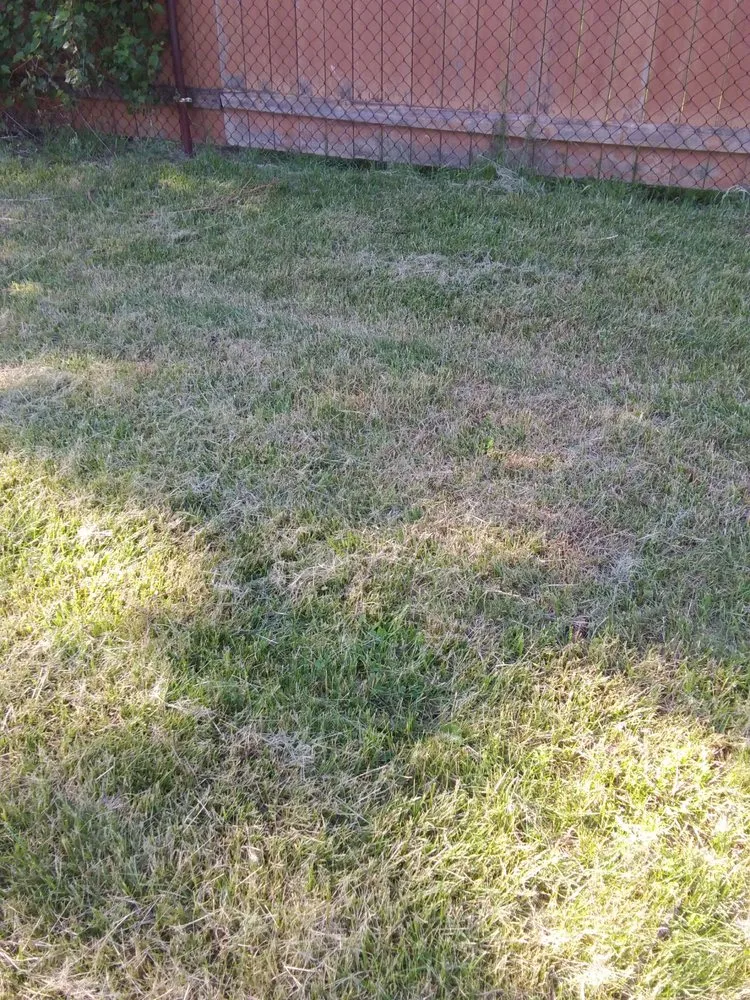 Professional landscaping services experts serving Garden City, MI - Lawn Life Landscape