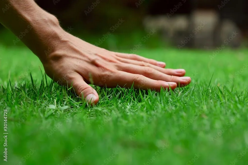 Expert garden landscaping for outdoor upgrades across Murfreesboro, TN - Lawn Life