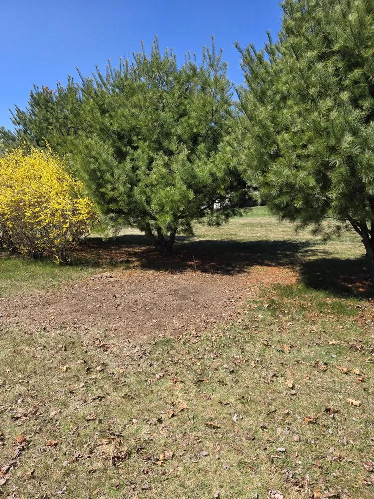 Reliable landscaping services in Lehighton, PA - Lawn Lifters