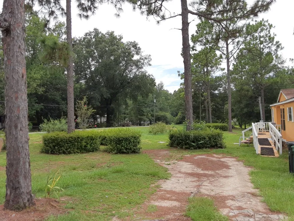 Expert landscape installation for outdoor upgrades in Tallahassee, FL by Lawn Liquidators