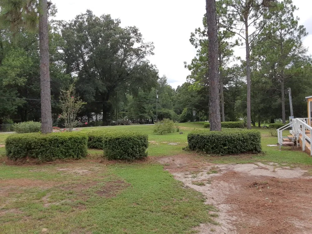 Professional yard cleanup service in Tallahassee, FL - Lawn Liquidators