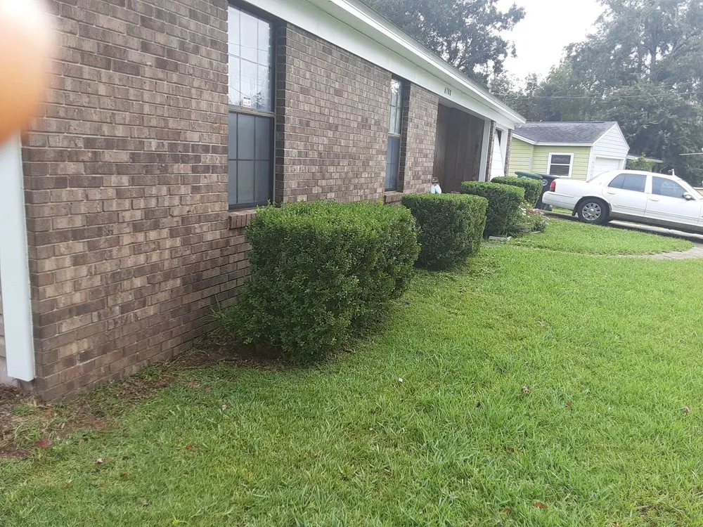 Professional lawn mowing service in Tallahassee, FL - Lawn Liquidators