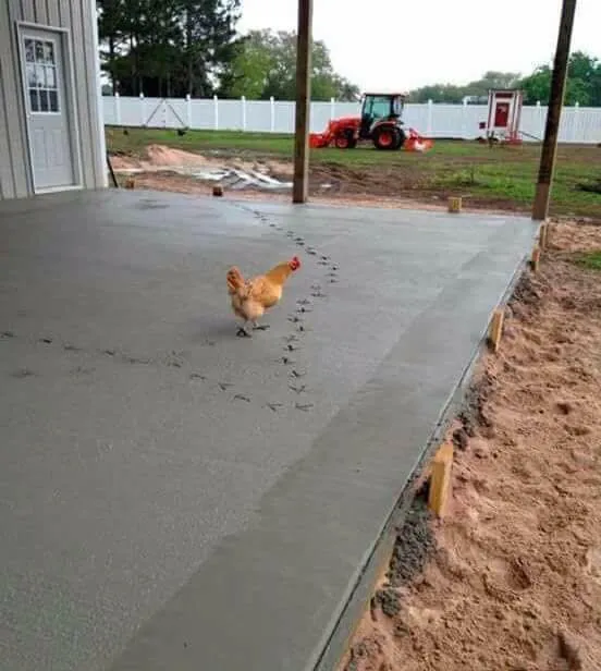 Custom outdoor landscaping for year-round maintenance across Sarasota, FL - Lawn Lives Matter