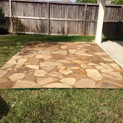 Lawn Lizard Landscaping Logo