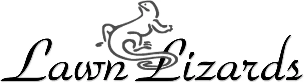 Expert lawn care service with custom design across Orange Park, FL - Lawn Lizards, LLC