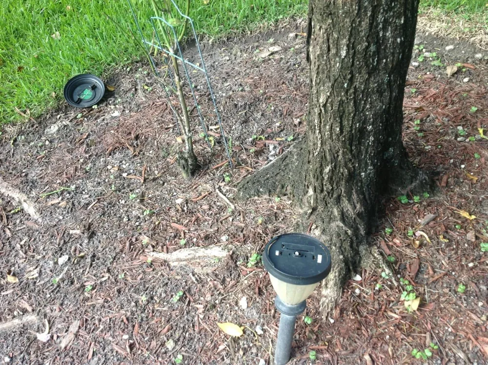 Reliable landscape installation in Davie, FL by Lawn Logic