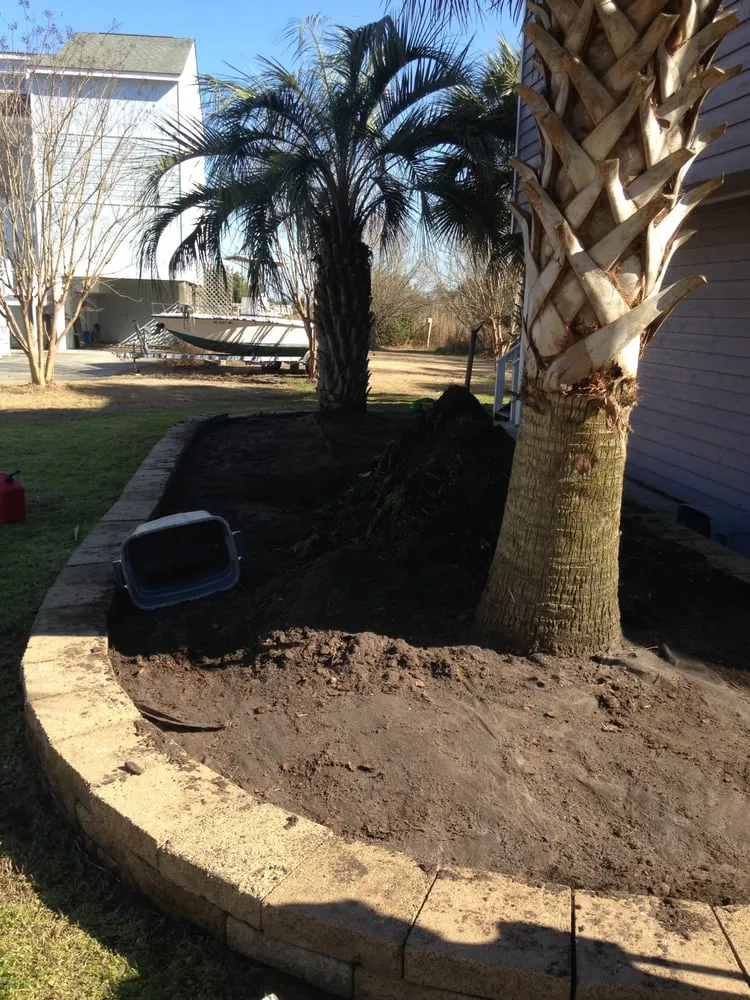 Custom lawn care service for beautiful yards in Wilmington, NC by Lawn Logix