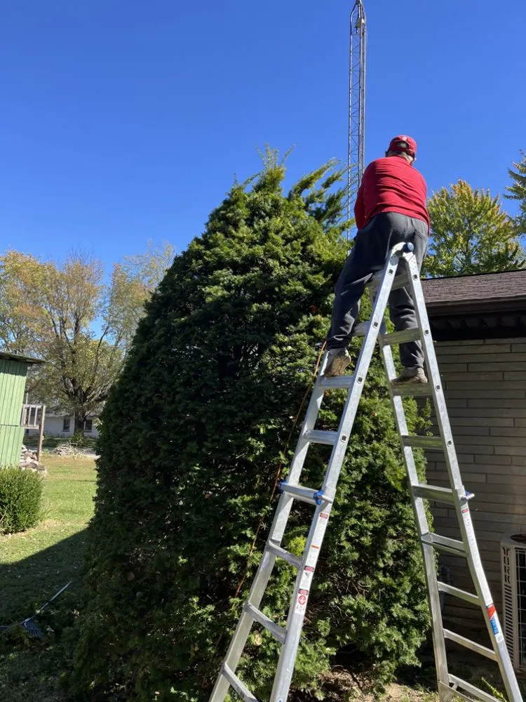 Expert landscape installation for residential properties in Washington, IN by Lawn Lords