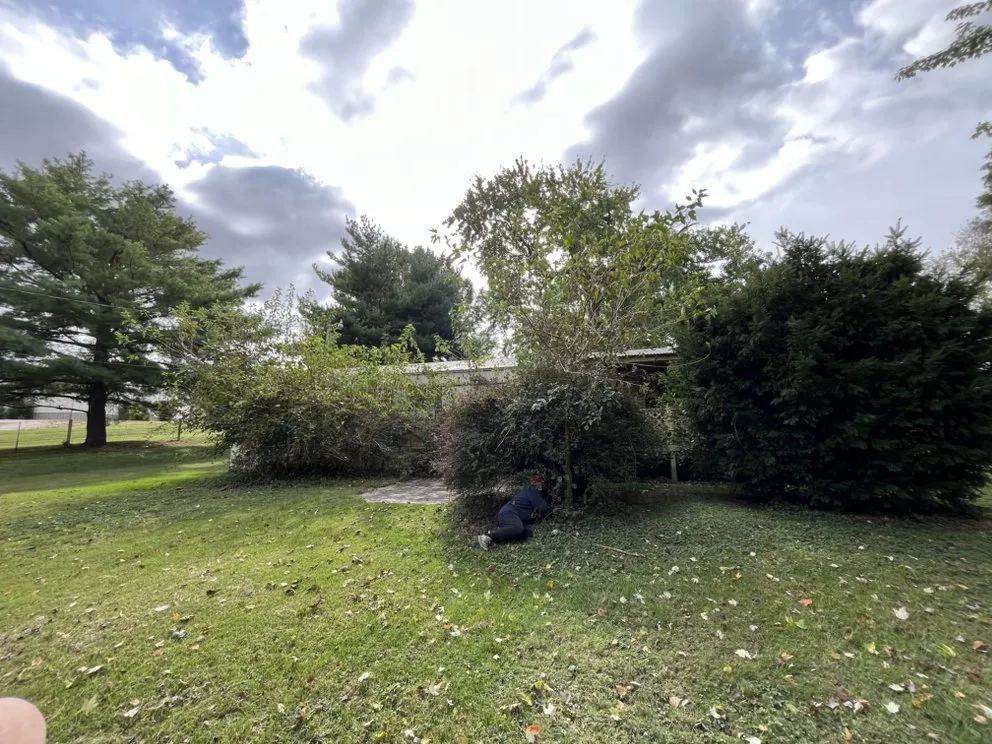 Professional outdoor landscaping for year-round maintenance across Washington, IN - Lawn Lords