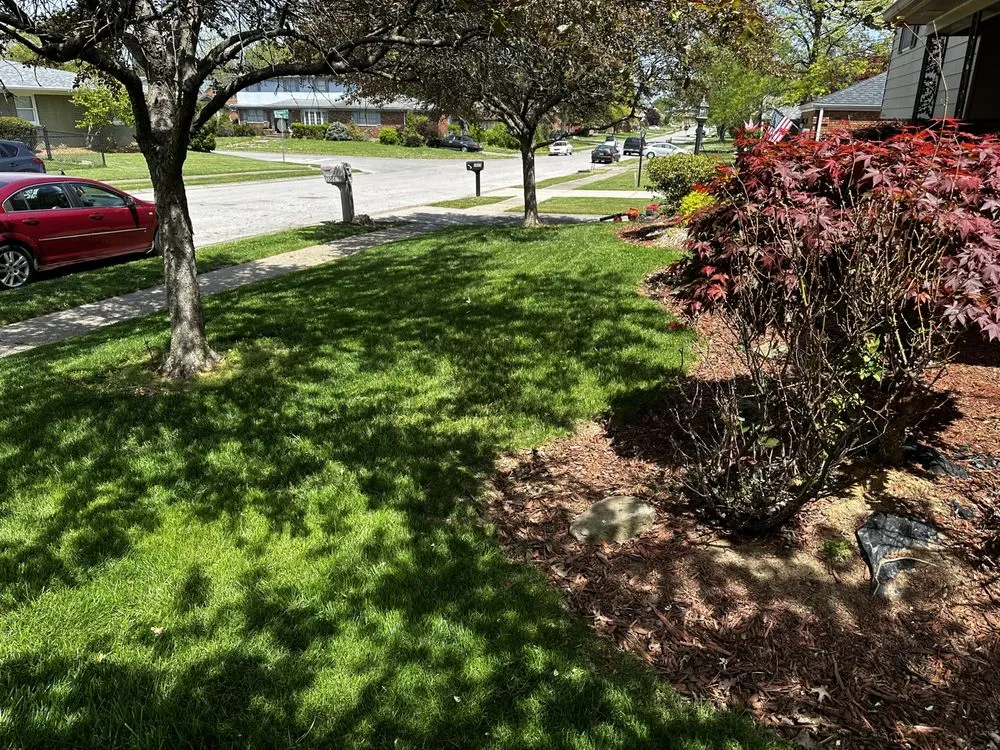 Expert residential landscaping for year-round maintenance in Louisville, KY by Lawn