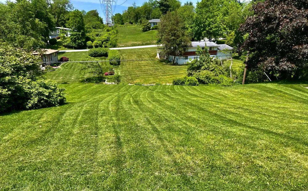 Trusted lawn mowing service near you across Louisville, KY - Lawn