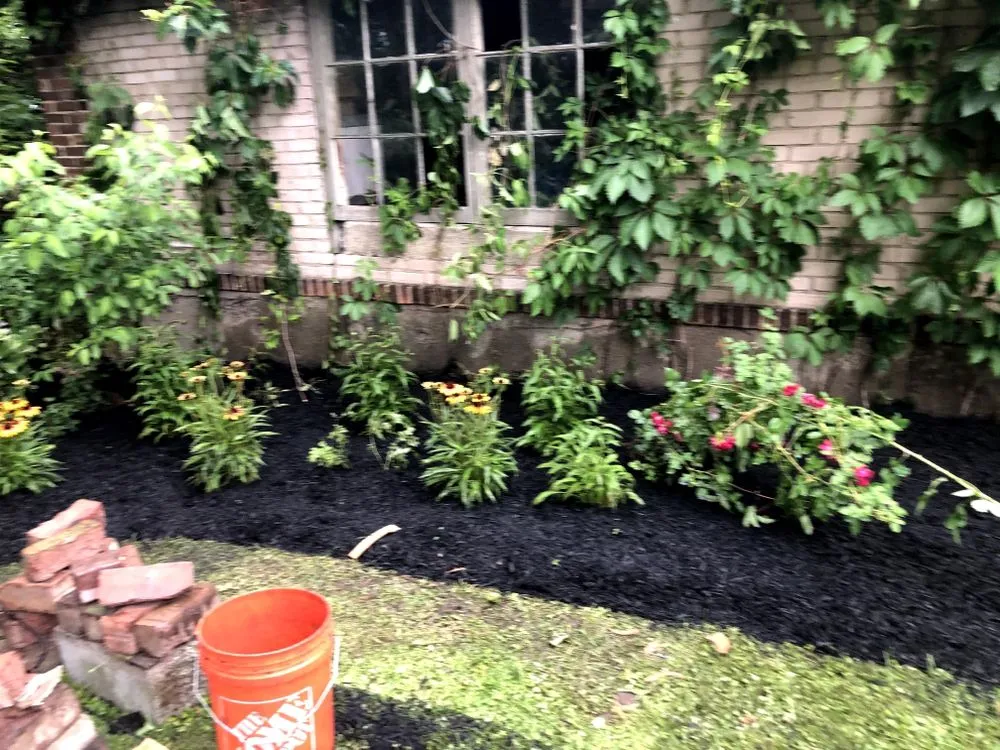 Affordable lawn care service for residential properties in Syracuse, NY by Lawn love landscape