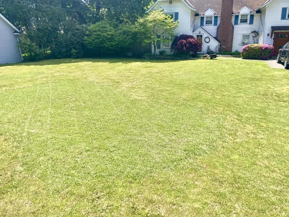 Professional landscape installation in Elmira, NY - Lawn Love Landscaping