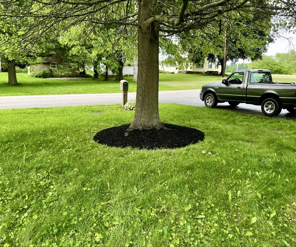 Expert outdoor landscaping in Elmira, NY by Lawn Love Landscaping