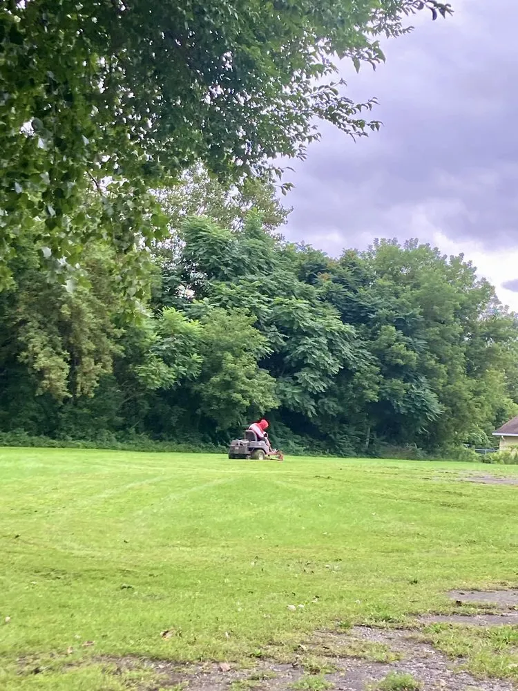 Affordable yard cleanup service experts serving Elmira, NY - Lawn Love Landscaping