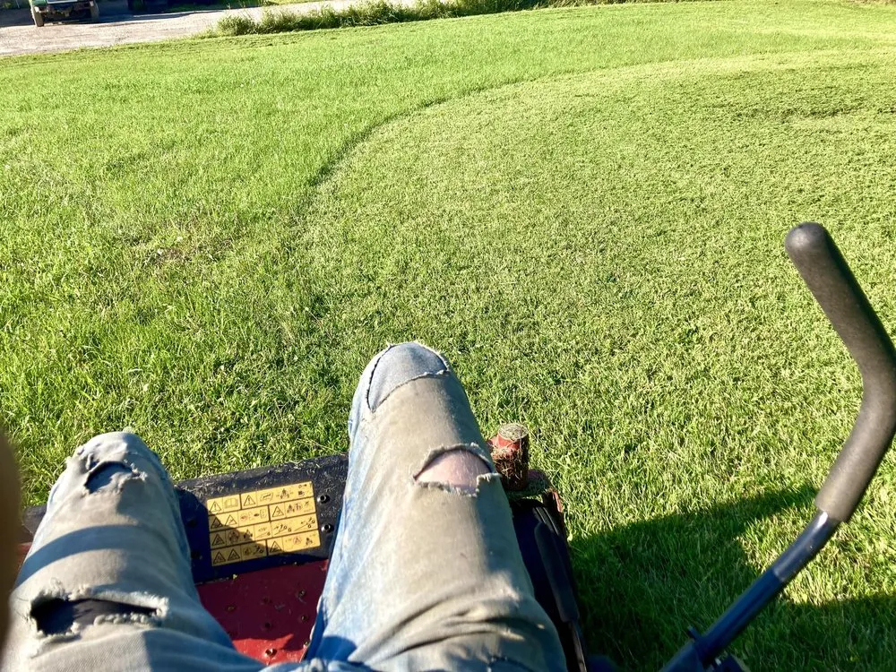 Affordable yard cleanup service for year-round maintenance in Elmira, NY by Lawn Love Landscaping