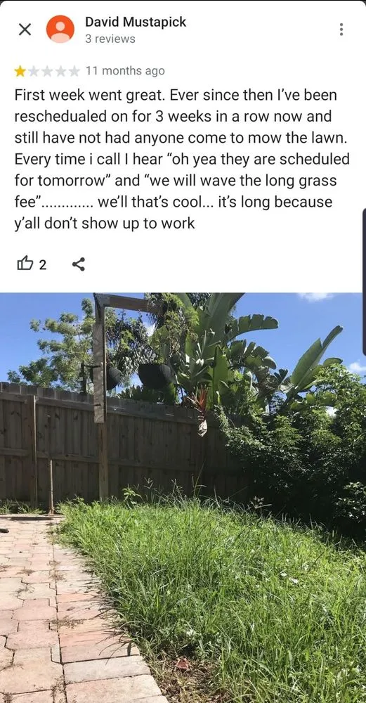 Local lawn mowing service in Boca Raton, FL - Lawn Love Lawn Care - Boca Raton