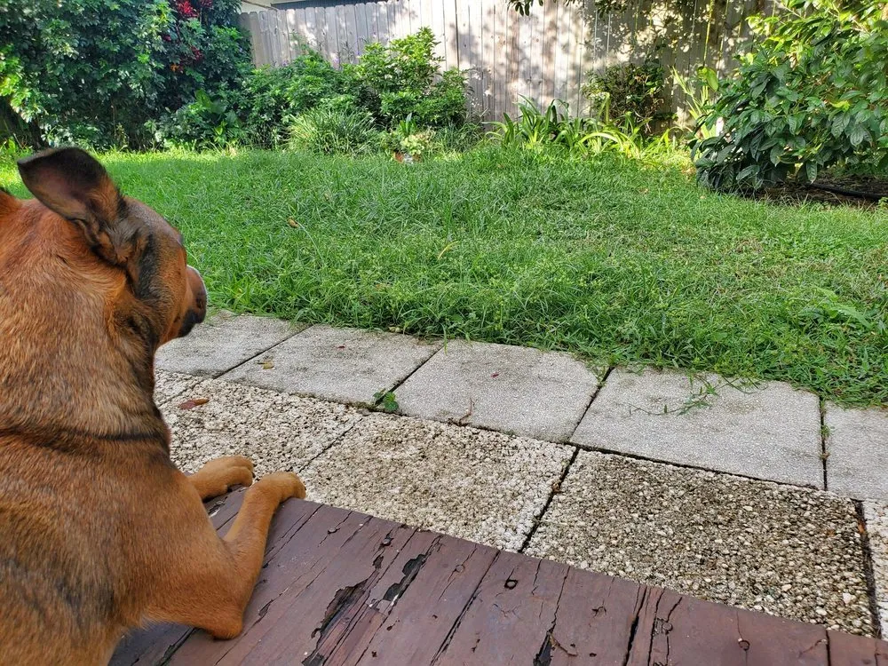 Affordable landscape design for residential properties across Boca Raton, FL - Lawn Love Lawn Care - Boca Raton