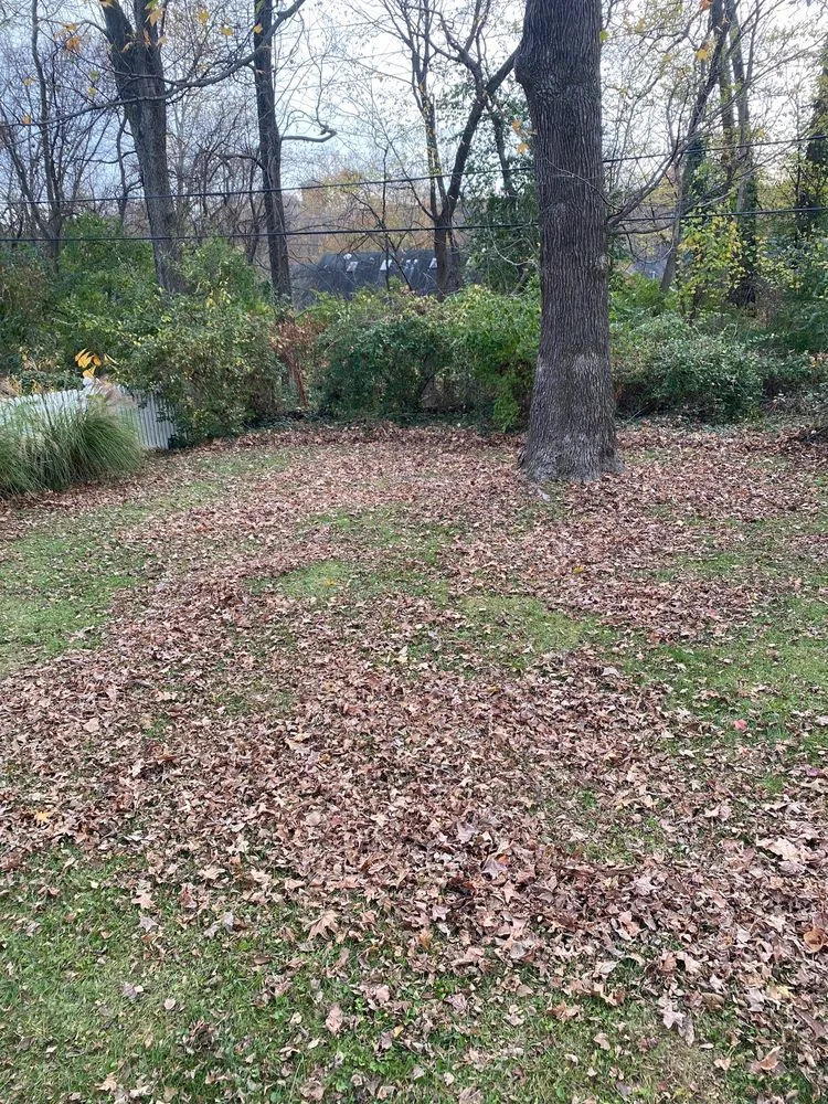 Top-rated outdoor landscaping with custom design across St. Louis, MO - Lawn Love Lawn Care - St Louis