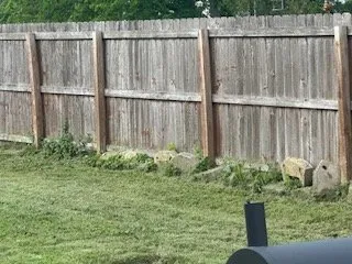 Reliable landscape installation in St. Louis, MO by Lawn Love Lawn Care - St Louis