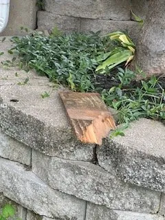 Affordable garden landscaping in St. Louis, MO by Lawn Love Lawn Care - St Louis