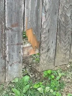 Expert yard maintenance for outdoor upgrades in St. Louis, MO by Lawn Love Lawn Care - St Louis