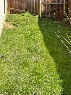 Expert residential landscaping in St. Louis, MO - Lawn Love Lawn Care - St Louis