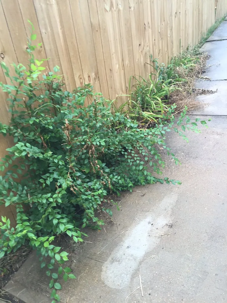 Expert outdoor landscaping near you in St. Louis, MO by Lawn Love Lawn Care - St Louis